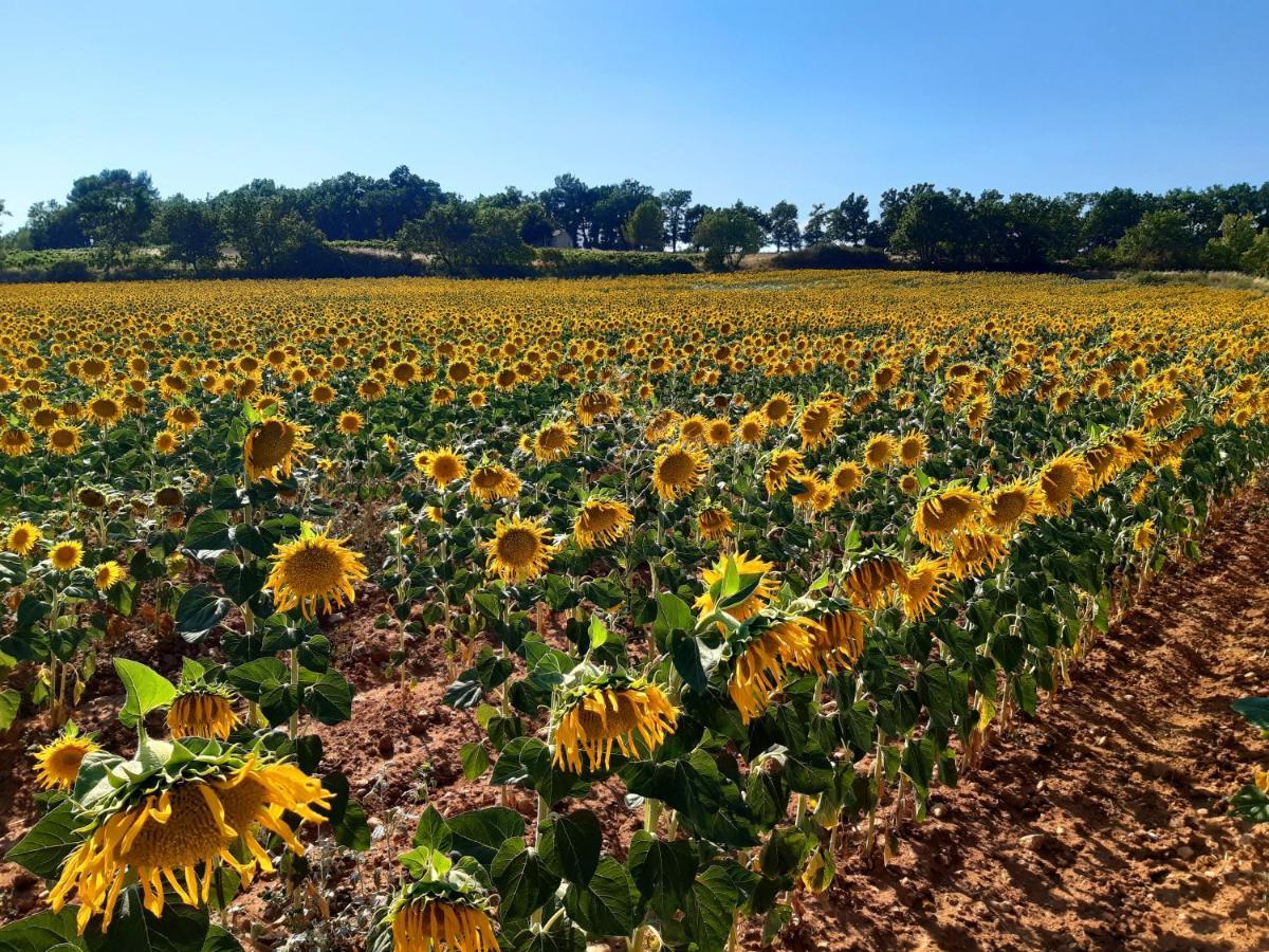 La Vita Dolce, Luberon Grambois Ngoại thất bức ảnh