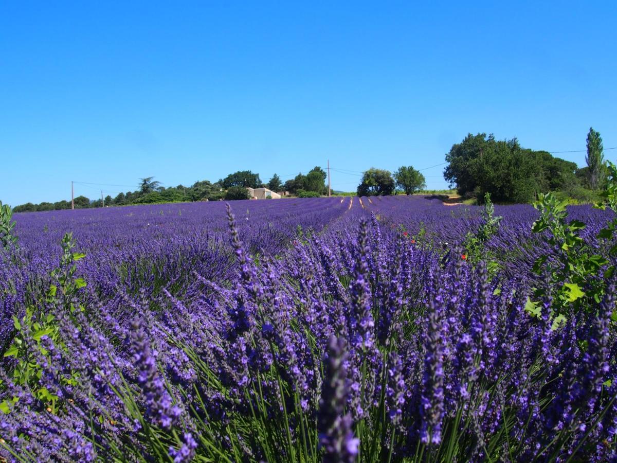 La Vita Dolce, Luberon Grambois Ngoại thất bức ảnh