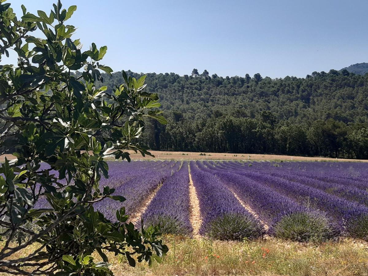 La Vita Dolce, Luberon Grambois Ngoại thất bức ảnh