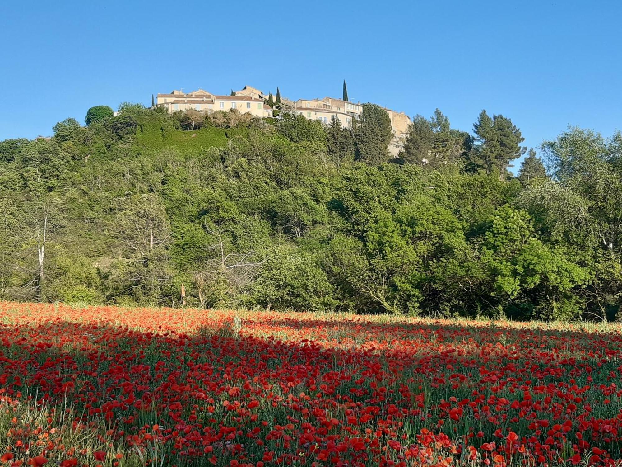 La Vita Dolce, Luberon Grambois Ngoại thất bức ảnh